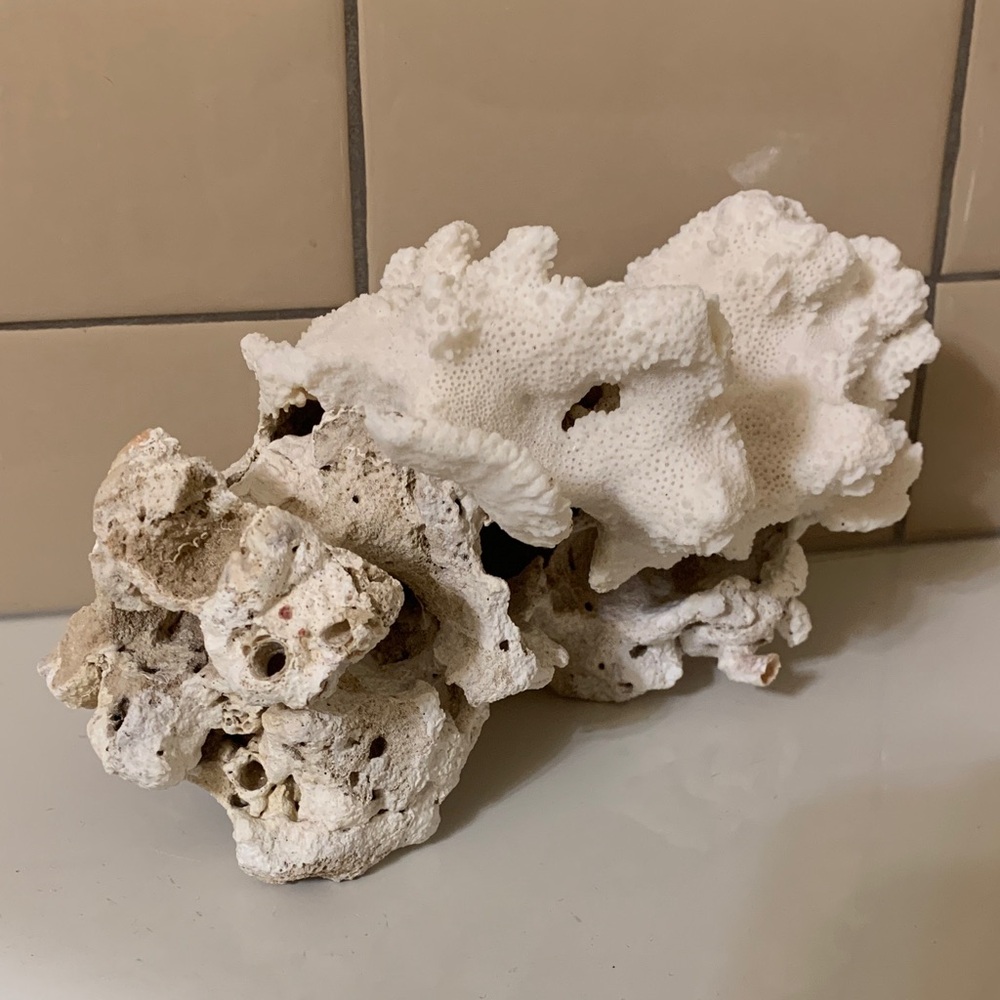 White Coral & Laval Rock Home Sculpture
